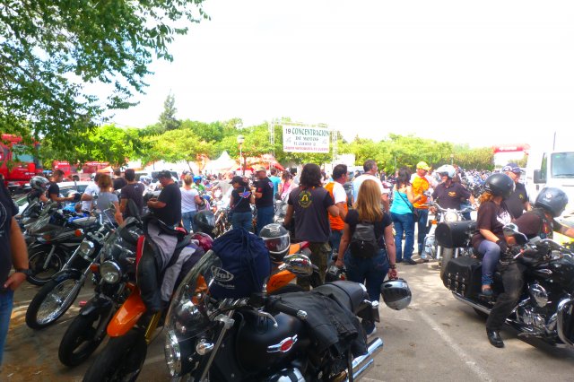 XIX Concentracion - 2012